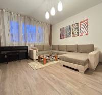 Living room in a 2-room apartment with a sofa, piano, and wooden decor flooring.