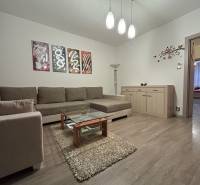 Living room in a two-room apartment with a wooden decor floor and a comfortable sofa.