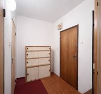 A hallway in a one-room apartment with a shoe cabinet, a red carpet, and a wooden decor floor.