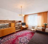 Living room in a one-room apartment with furniture and a carpet with a red pattern.