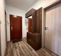 Entrance hall in a 3-room apartment with furniture and flooring featuring a wood design.