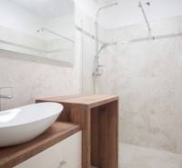 A bathroom in a family house with a sink on a wooden decor and a shower corner.