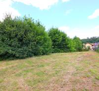 A grassy plot with bushes and random buildings in the background in the town of Veľké Uherce.