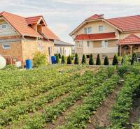 A family house in Ratkovce with a spacious garden full of vegetables and trees.