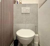 A toilet in a 2-room apartment with wood decor tiles and storage space.