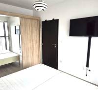 A bedroom with a TV, a wardrobe, and wooden doors in a studio apartment.