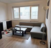 Living room with a sofa, table, and wooden decor flooring in a studio apartment.