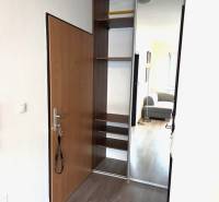 Built-in wardrobe with sliding doors in a studio apartment, floor with wood decor.