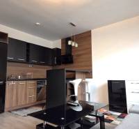A kitchen in a studio apartment with black cabinets, flooring with a wood decor.