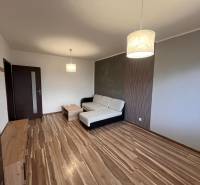 Living room of a two-room apartment with a wooden decor floor, sofa, and lamp.