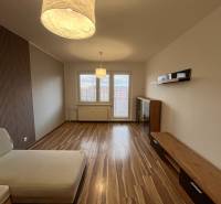 Living room in a two-room apartment with a wooden decor floor and a comfortable couch.