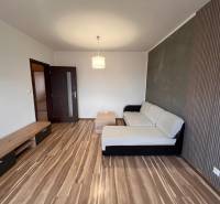 Living room with a sofa and wood-patterned flooring in a two-room apartment.