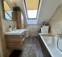 A bathroom in a two-room apartment with a wooden decor floor, a bathtub, and a skylight.