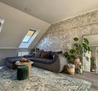 Living room in a two-room apartment with a wooden decor floor, a sofa bed, and plants.