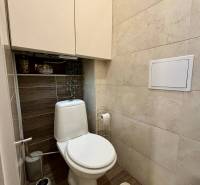 A toilet with a wooden decor floor in a 2-room apartment.