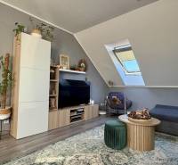 Living room in a 2-room apartment with a skylight, wood-patterned flooring, comfortable furniture.