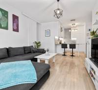 Living room with a kitchenette, gray sofa, and wood-patterned flooring in a three-room apartment.