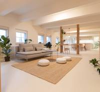 A bright living space in a 3-room apartment with a sofa, plants, and a dining area.