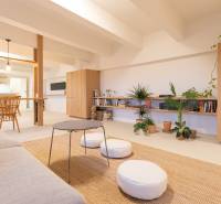 Interior of a 3-room apartment with plants, wooden decor, and open space.
