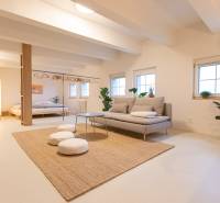 Bright 3-room apartment with a sofa, plants, table, and bed in an open space.