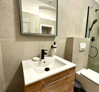 Bathroom in a 2-room apartment with a sink, mirror, and shower.