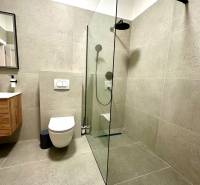 Bathroom in a 2-room apartment with a shower, toilet, and sink with a wooden decor.