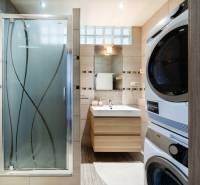 A bathroom with a sink, shower, and washing machine in a 3-room apartment.
