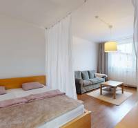 A bedroom in a 3-room apartment with a separate bed, sofa, and wooden decor flooring.