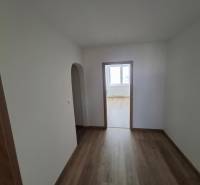 A hallway in a 5 or more room apartment with a wooden decor floor.