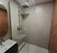 Bathroom in a 5 or more room apartment with a modern shower and sink.