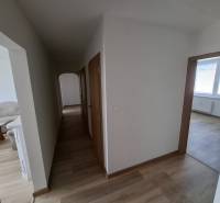 A hallway with a wooden decor floor in a 5 or more room apartment, entrance to the rooms.