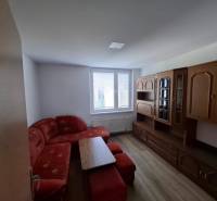 Living room in a 5 or more room apartment with a wooden decor floor and a sofa.