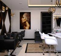 Interior of commercial spaces with hairdressing chairs, mirrors, and decorative lighting.