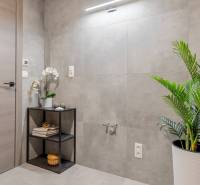 A bathroom in a 3-room apartment with gray walls, a green plant, and storage space.