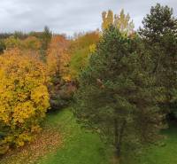 Autumn nature in the 1. Mája housing estate, Vranov nad Topľou, surrounds a 3-room apartment.