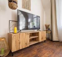 Living room with a television, wooden decor stand, and decorations in a studio apartment.