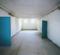 Production premises with blue doors and white walls, bright room.