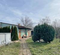 There is a garden with a swimming pool and coniferous trees at the family house on Hodská in Galanta.