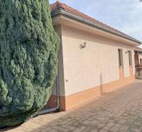 A family house on Hodská Street in Galanta with a brick roof and a large conifer.