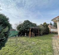 A grassy garden at a family house on Hodská Street in Galanta, with a pergola covered among the trees.