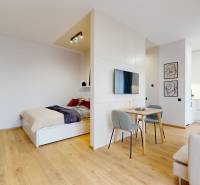 Interior of a 1-room apartment with a bed, kitchen, and living room. Floor with wood decor.