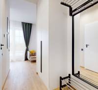 A bright hallway with wood-patterned flooring and white walls in a studio apartment.