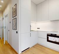 Kitchen corner with built-in appliances in a studio apartment, floor with wood decor.