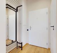 Entrance hall in a one-room apartment with white doors and a wooden decor floor.