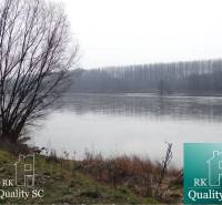 The river with trees near residential plots at the Old Port Gabčíkovo.