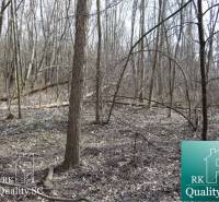 Forest landscape on the plots - living in the Old Port Gabčíkovo.