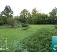 Garden at the family house on Záhumenská Street in Kráľová pri Senci.