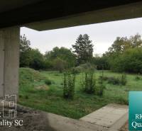 The garden of the family house on Záhumenská Street in Kráľová pri Senci surrounded by greenery.
