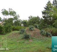Garden with plants and trees at the family house on Záhumenská in Kráľová pri Senci.