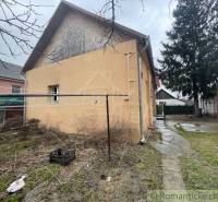 A family house in Neded with a garden, trees, and slightly gloomy weather.